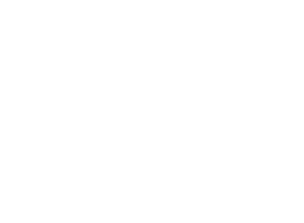 The Pro Ad Shop Logo